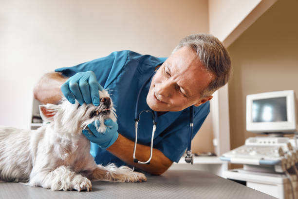 Best Affordable Emergency Dental Care  in Lake Park, FL